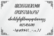 Sunday - Modern Calligraphy Font, a Script Font by Artkenza (Thumbnail 6 of 8)