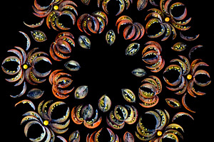 pattern of tomato slices
