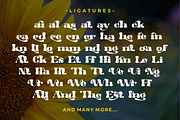 Hippie Vintage - Vintage Sans Font, a Sans Serif Font by PutraCetol Studio (Thumbnail 9 of 11)