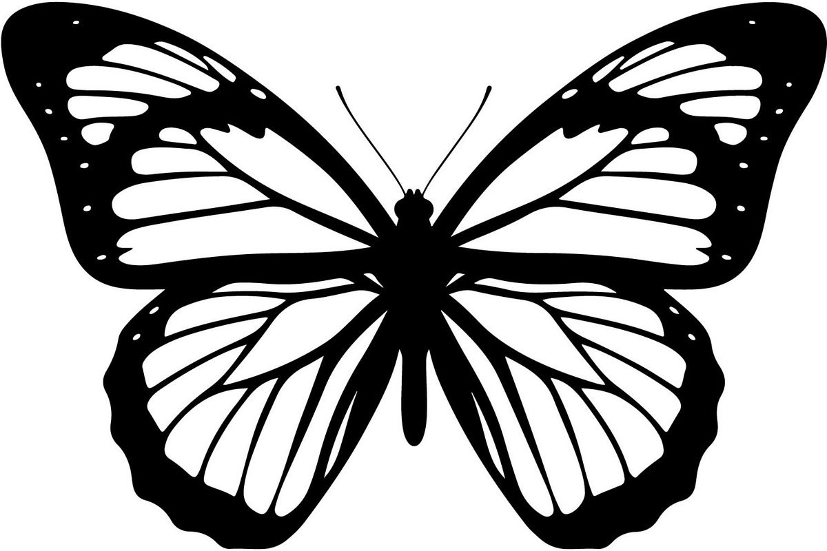 Elegant Butterfly Silhouette, an Object Graphic by Creativeshirt (Photo 14 of 17)
