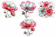 Spring Cosmos Flower Clipart, an Illustration by Daily.Designs (Thumbnail 5 of 8)