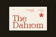 Metron Elegant Serif Font, a Serif Font by Elegant Font (Thumbnail 6 of 8)