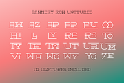 Cannery Row Slab Serif Display Font, a Slab Serif Font by Holt510 (Thumbnail 8 of 11)