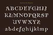 Anges - stylistic Art Nouveau font, a Serif Font by TypeFaith Fonts (Thumbnail 8 of 13)
