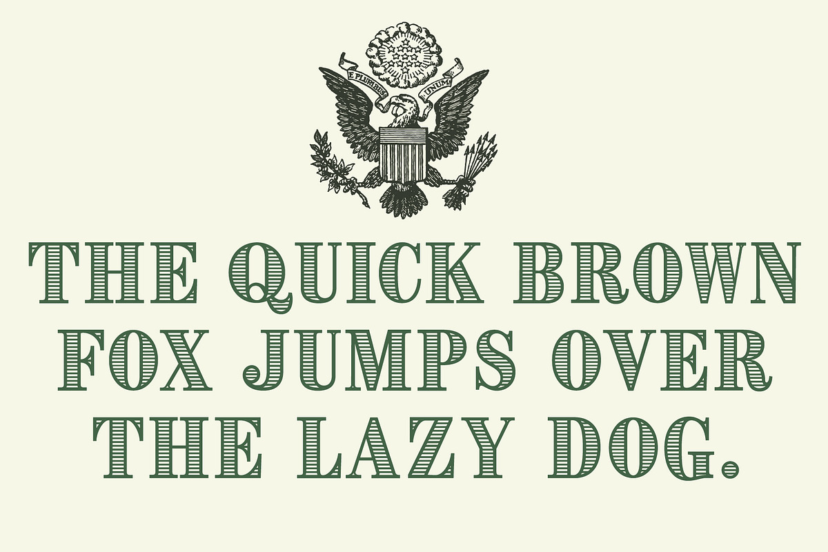 CASH, a Serif Font by Loudoun Design Co. (Photo 7 of 7)