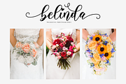 Alyanda Script, a Script Font by Nissa Studio (Thumbnail 7 of 12)