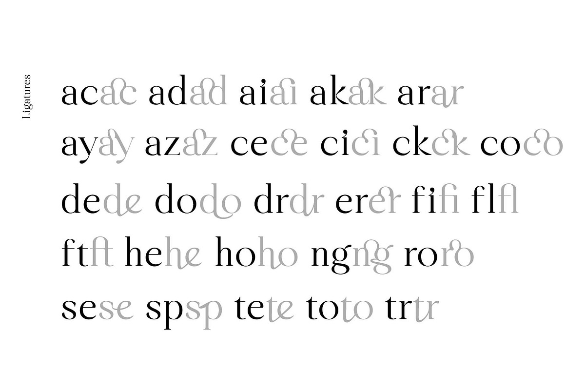 Liliane Classe Serif Font Family, a Serif Font by Ryul Davidson (Photo 9 of 21)