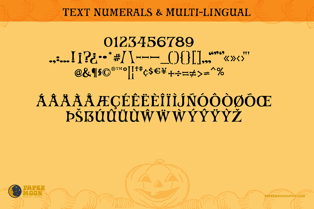 PM Aurora Casual Serif Font, a Serif Font by Paper Moon Graphic Supply (Photo 7 of 18)