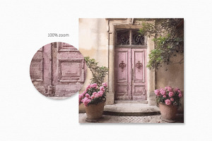 Pale Pink French Doors Paintings