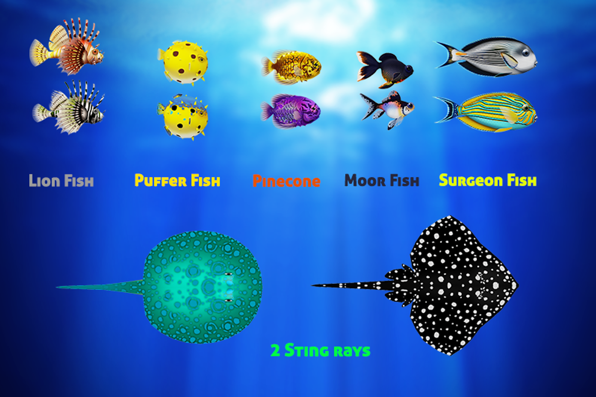 Sea Fish Mega Pack, an Animal 3D Model by Souchenki (Photo 7 of 13)