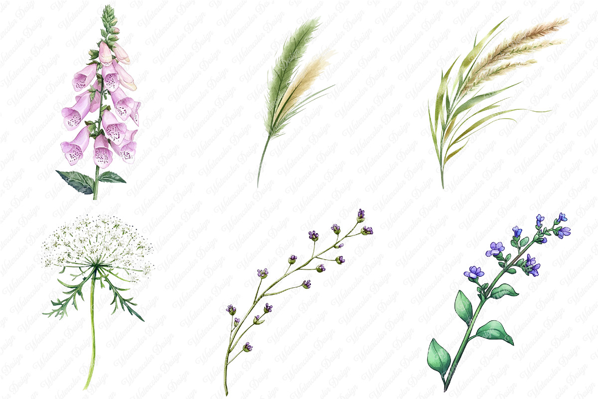 Wild Floral Clipart, Wild Floral png, an Illustration by Watercolor design (Photo 4 of 12)