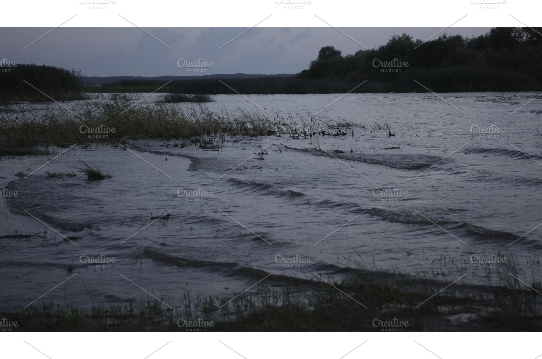 Waves on shallow water of lake beach, a Nature Photo by Media Whale Stock