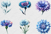 Watercolor Cornflower Clipart, an Illustration by Black Bird Studio (Thumbnail 3 of 6)