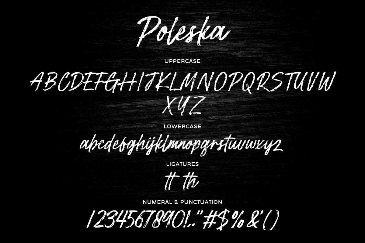 Poleska – Brush Script Font, a Script Font by Fikryal Studio (Photo 15 of 15)