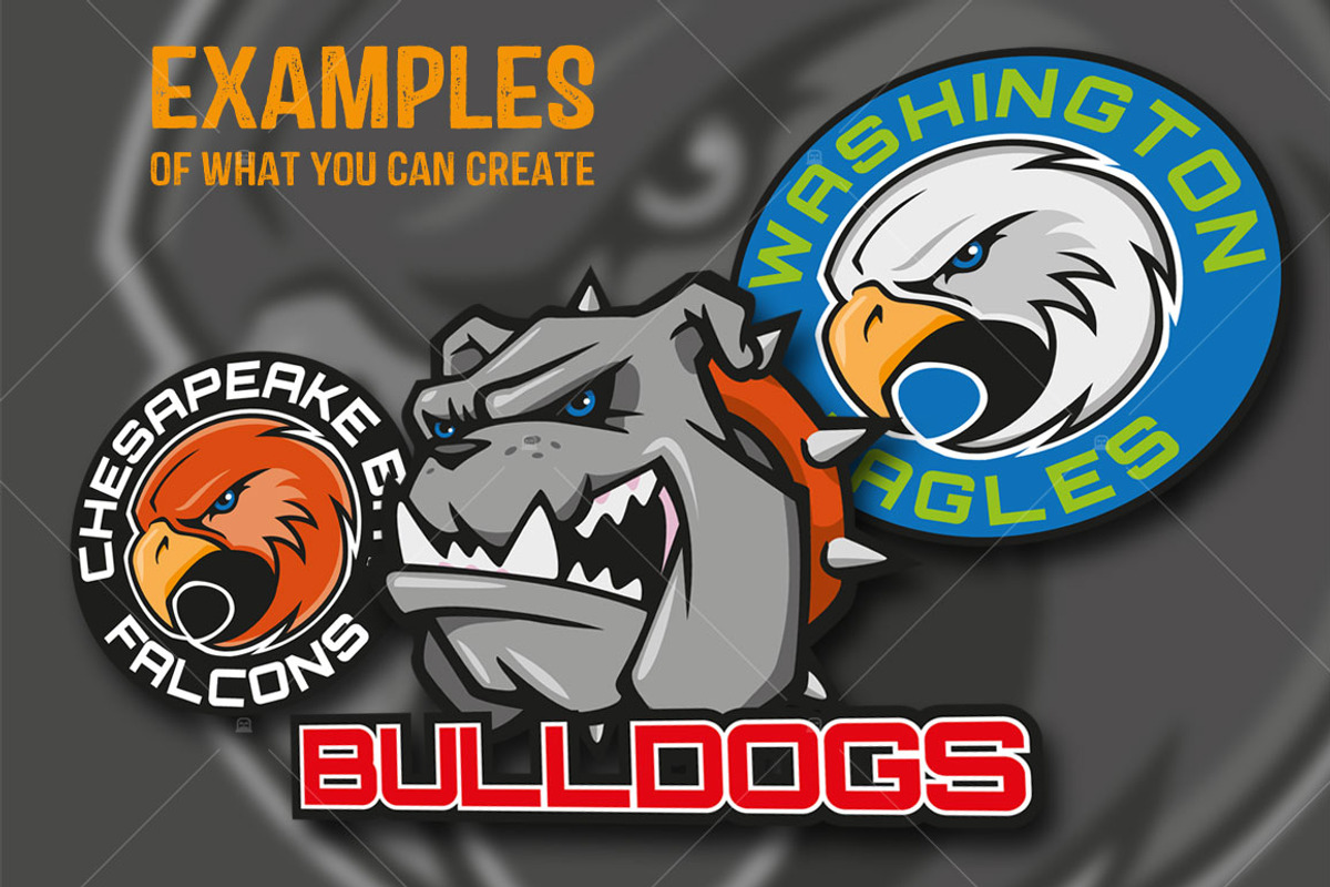 4 Vector Team Mascots, an Education Illustration by Robotrob Design Co. (Photo 2 of 3)