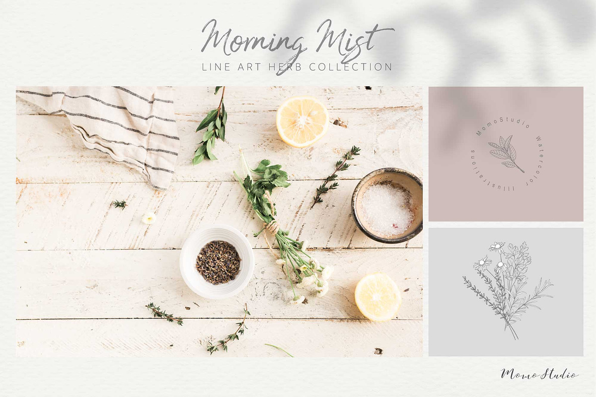 Morning Mist - Herb Collection, a Decorative Illustration by Momo Studio (Photo 5 of 18)
