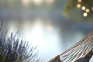 Cozy hammock with lavender by a calm, a Nature Photo by MistyDay