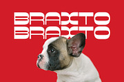 Braxto Display, a Sans Serif Font by Foxtype (Thumbnail 1 of 9)