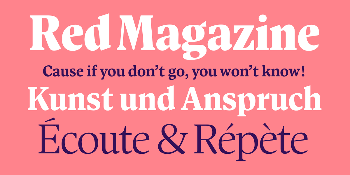 Antonia, a Serif Font by Typejockeys (Photo 2 of 6)
