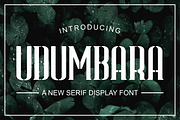 Udumbara Font, a Serif Font by brahamb_design (Thumbnail 1 of 4)