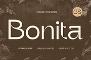 CS Bonita – Art Nouveau Font, a Sans Serif Font by Craft Supply Co. (Thumbnail 1 of 8)