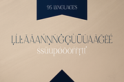 Malinger - Elegant Serif Font, a Serif Font by VP Fonts (Thumbnail 17 of 20)
