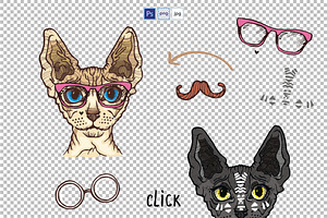 Sphynx Cats Set