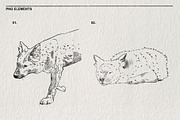 Red wolf animal sketches PNG, an Animal Illustration by LOKSKIH (Thumbnail 3 of 5)