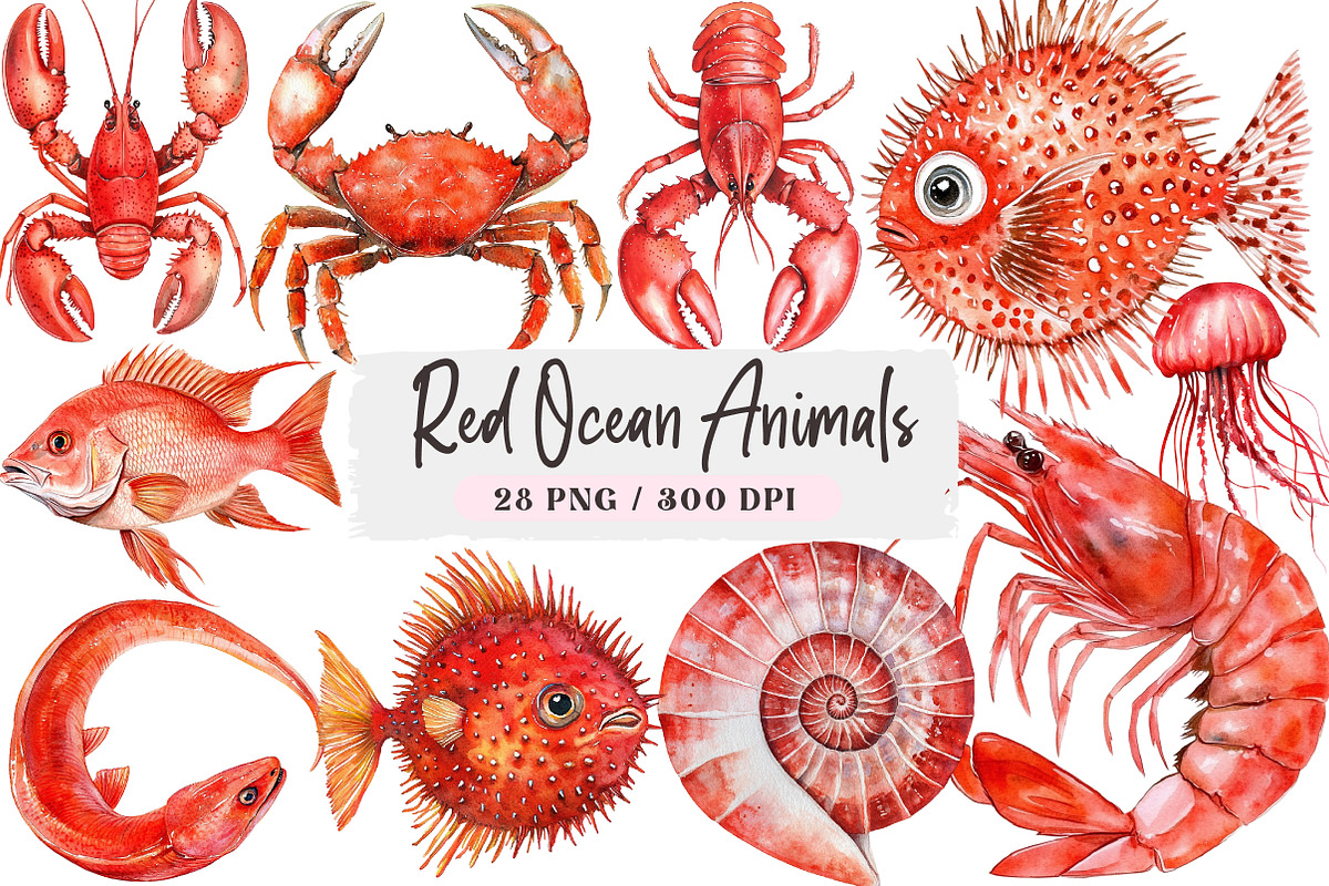 Red Ocean Animals Sublimation PNG Bu, an Illustration by DreamArtGraphic (Photo 1 of 4)