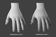 Stylized Female 01 A-Pose Base Mesh, a Characters & Person 3D Model by VK Studio (Thumbnail 22 of 27)