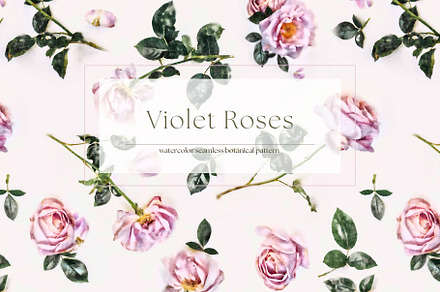 Watercolor Pattern Violet Roses