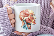 Antique Anatomy Overlays Set, an Illustration by Pixels.Craft (Thumbnail 7 of 7)
