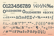 UT Cazgo - A Stylish Slab Serif, a Slab Serif Font by Universitype (Thumbnail 9 of 12)