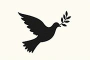 Olive Branch Dove Designs, an Illustration by hafijul (Thumbnail 18 of 20)