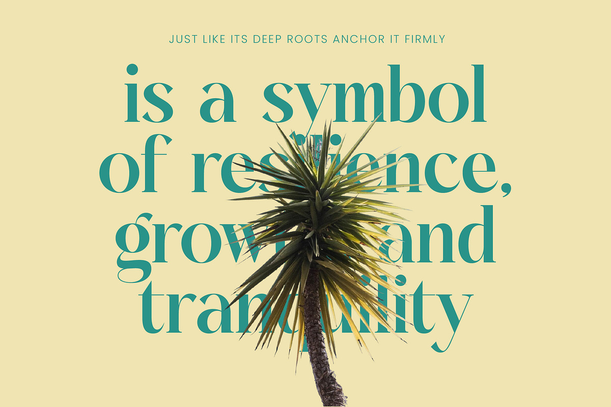 Dudga Baloval Elegant Serif Font, a Serif Font by timelesstype.co (Photo 8 of 20)