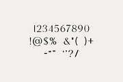 Extradicta Classic Serif Font, a Serif Font by UICreative (Thumbnail 6 of 13)