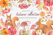 Autumn watercolor collection, an Illustration by BrushArtDesigns (Thumbnail 1 of 9)