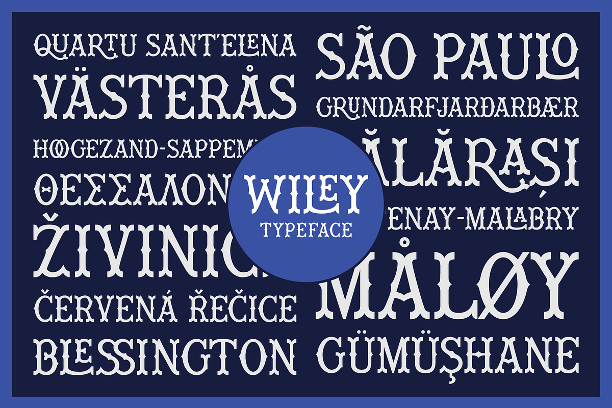 Wiley Decorative Latin & Greek Font, a Slab Serif Font by Molly Suber Thorpe (Photo 14 of 16)