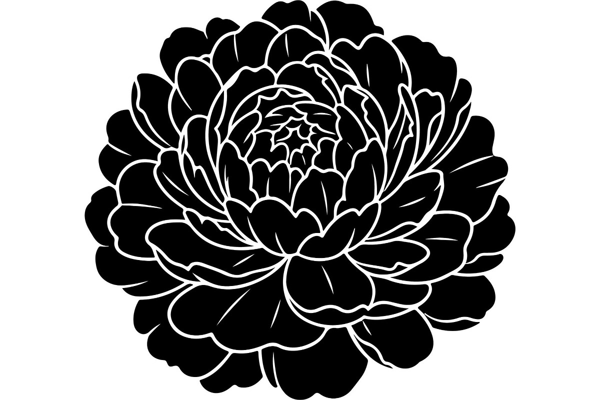 Peony Flower Silhouette, an Object Graphic by Designer_Momina (Photo 7 of 18)