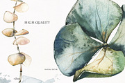 Dreamy Nature -watercolor collection, a Decorative Illustration by Khrys.art (Thumbnail 3 of 16)