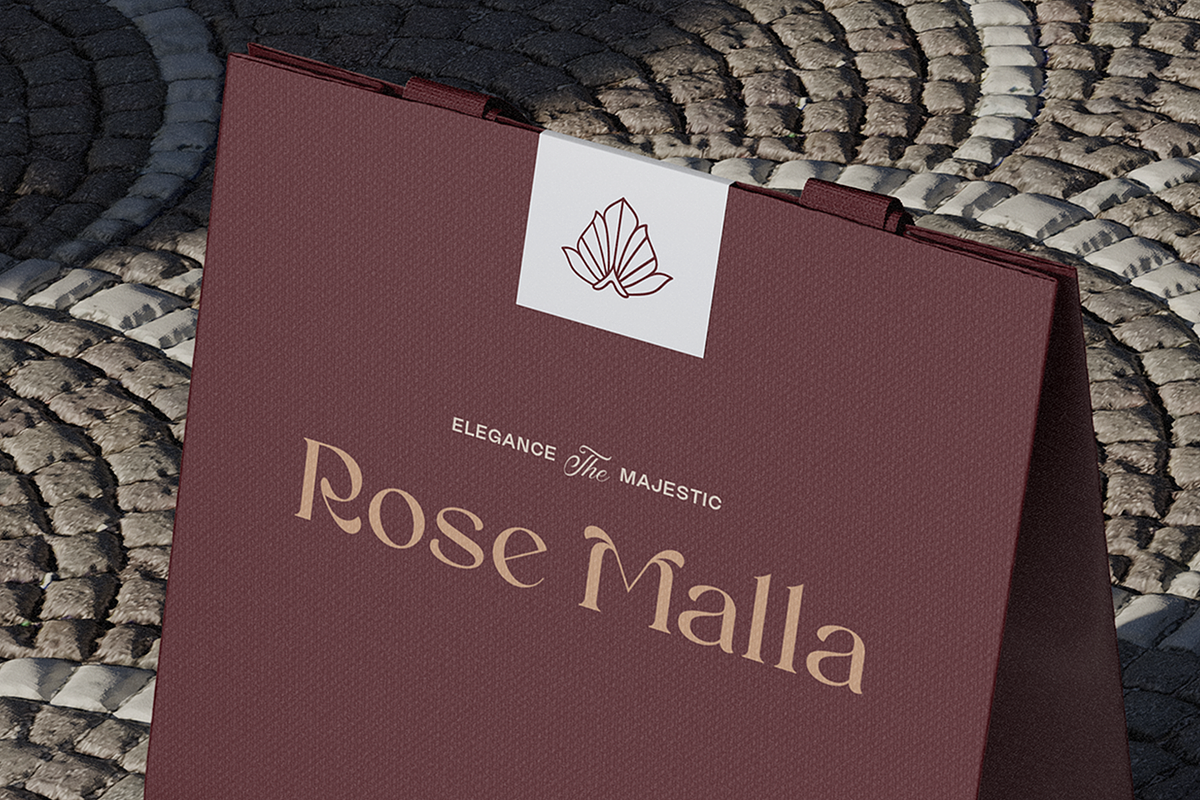 Reinsa - Elegant Modern Logo Font, a Sans Serif Font by Pekotype (Photo 13 of 15)