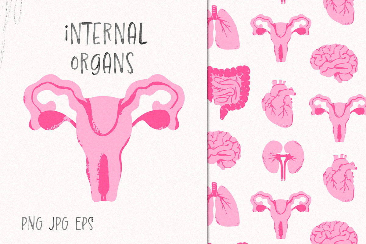 Internal organs, a Healthcare Illustration by Twisted Tail (Photo 1 of 4)