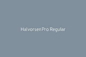 HalvorsenPro Regular
