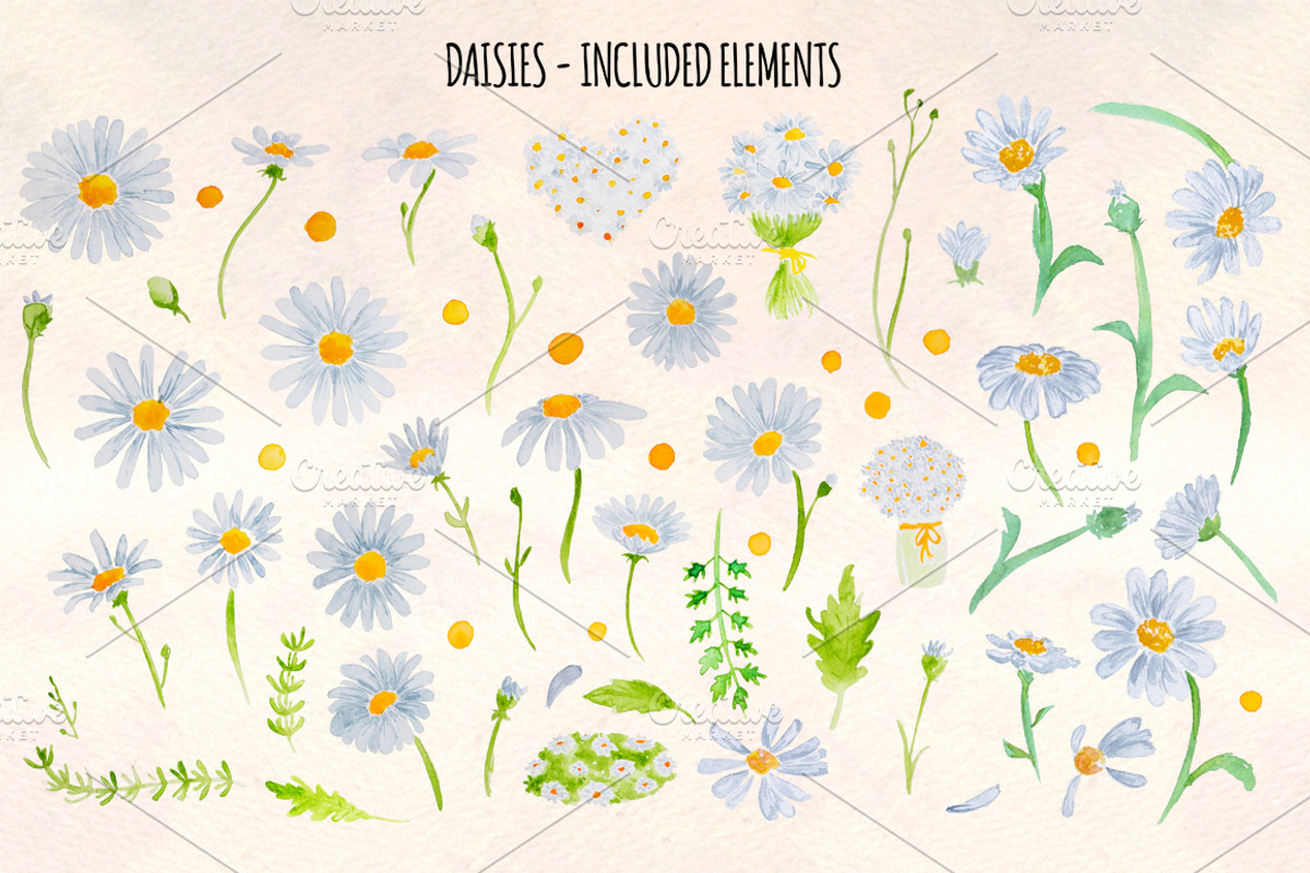 Spring Daisies Watercolor Bundle, a Seasonal Illustration by Violet LeBeaux (Photo 2 of 3)