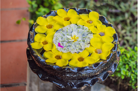 A pattern of flowers in a container, a Nature Photo by Elizaveta Galitskaya