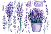 Lavender flowers watercolor, clipart, a Food Illustration by Hanna Hryharenka (Thumbnail 5 of 17)