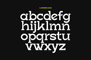 Branty Modern Serif Font, a Serif Font by Artiveko (Thumbnail 2 of 8)