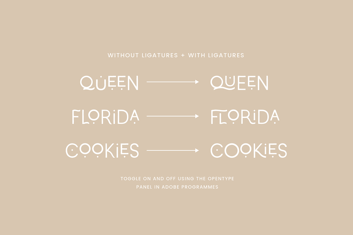 Catanzaro Ligature Display Font, a Sans Serif Font by Emma Webb Studio (Photo 5 of 12)