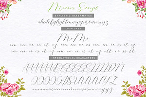 Morris Script Font Duo