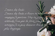 Que Sera Monoline Script, a Script Font by INKMETHIS (Thumbnail 4 of 6)